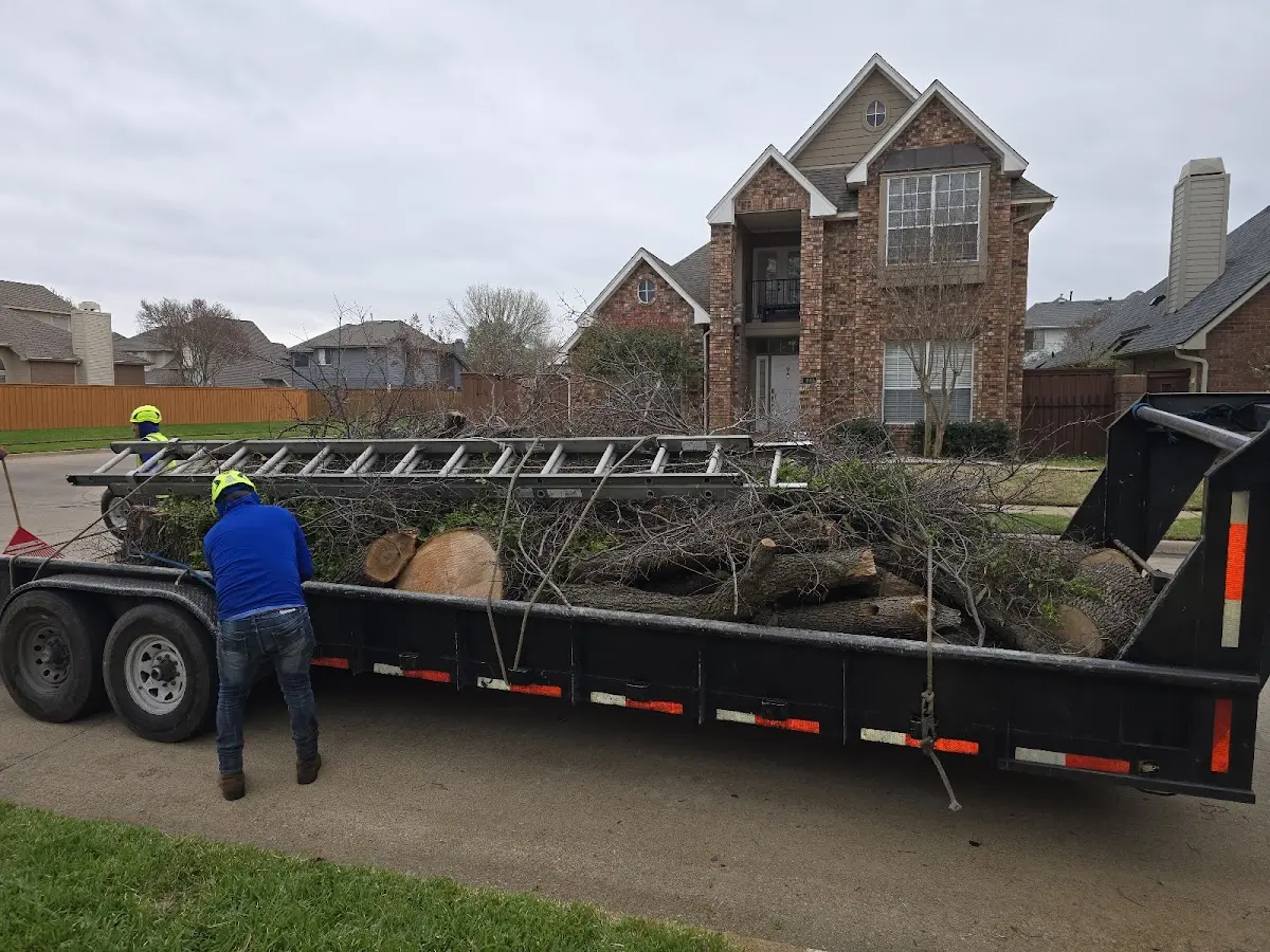 Expert Lot Clearing with proper safety equipment in Sheyenne